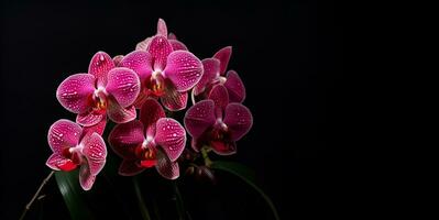 hermosa orquídea flores blanco espacio fondo, ai generativo foto