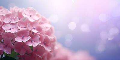 beautiful hydrangea flowers blank space background, ai generative photo