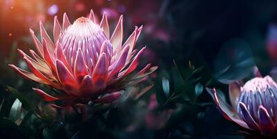 hermosa protea flor macro blanco espacio, ai generativo foto