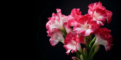 beautiful hibiscus flower macro blank space, ai generative photo