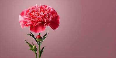 beautiful carnation flower macro blank space, ai generative photo