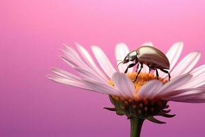 flor ,Copiar espacio ,generativo ai foto