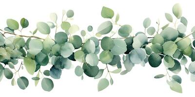 Watercolor green floral banner with  branches isolated on white background, copy space , Generative AI photo