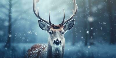 Deer in a winter snowy forest ,Christmas scene ,Generative AI. photo