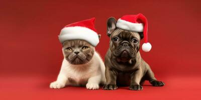 Cute dog and cat with a Santa's Hat on a Red Background with Space for Copyspace ,Generative AI. photo