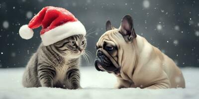 Cute Cat and Dog with a Santa's Hat in the snow Background with Space for Copyspace,Generative AI. photo
