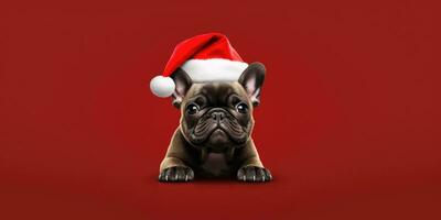 Cute dog with a Santa's Hat on a Red Background with Space for Copyspace ,Generative AI. photo