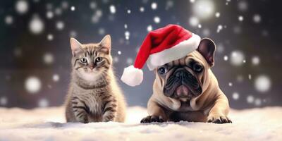 Cute Cat and Dog with a Santa's Hat in the snow Background with Space for Copyspace,Generative AI. photo