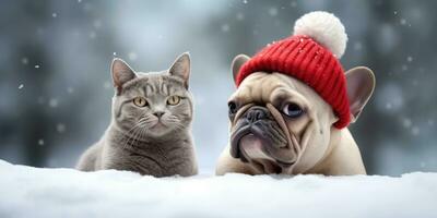 linda gato y perro con un de santa sombrero en el nieve antecedentes con espacio para copyspace,generativo ai. foto