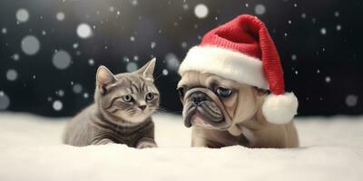 Cute Cat and Dog with a Santa's Hat in the snow Background with Space for Copyspace,Generative AI. photo