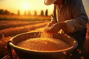 Close up hand farmer pouring grain at sunset.Generative AI. photo