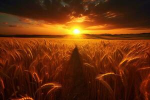 Golden wheat field and day light ,Generative AI photo