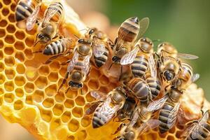 honey bees on honeycomb in apiary in summertime, Honey bees communicate with each other, AI Generative photo