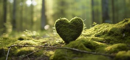 de cerca de de madera corazón en musgo. natural entierro tumba en el bosque. generativo ai foto