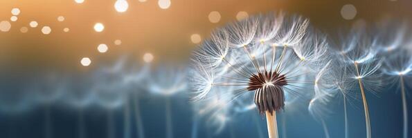 Abstract blurred nature background dandelion seeds parachute. Bokeh pattern. Generative AI photo