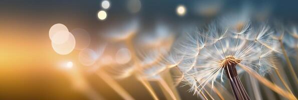 Abstract blurred nature background dandelion seeds parachute. Bokeh pattern. Generative AI photo