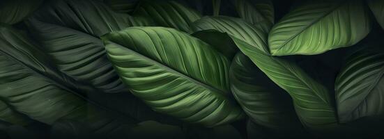 Abstract green leaf texture with nature background, tropical leaf. Generative AI photo