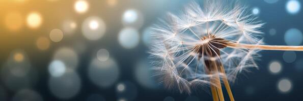 Abstract blurred nature background dandelion seeds parachute. Bokeh pattern. Generative AI photo