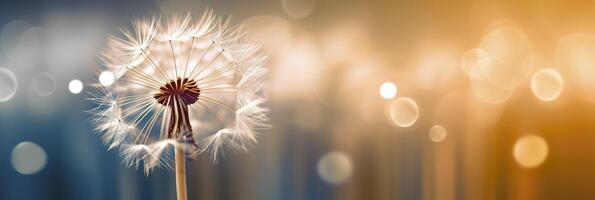 Abstract blurred nature background dandelion seeds parachute. Bokeh pattern. Generative AI photo