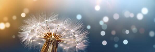 Abstract blurred nature background dandelion seeds parachute. Bokeh pattern. Generative AI photo