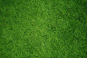 Green grass texture background grass garden concept used for making green background football pitch, Grass Golf, green lawn pattern textured background. photo