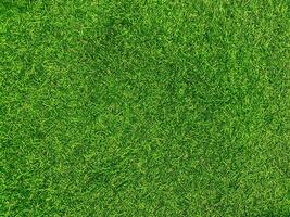 Green grass texture background grass garden concept used for making green background football pitch, Grass Golf, green lawn pattern textured background. photo