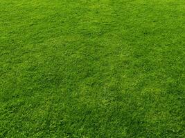 fondo de textura de hierba verde concepto de jardín de hierba utilizado para hacer campo de fútbol de fondo verde, golf de hierba, fondo de textura de patrón de césped verde.. foto