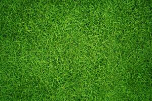 Green grass texture background grass garden concept used for making green background football pitch, Grass Golf, green lawn pattern textured background. photo