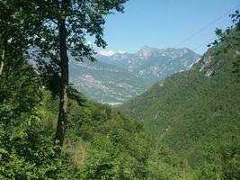 Mountain landscape with green meadows and forests, Dolomite Alps, Italy photo