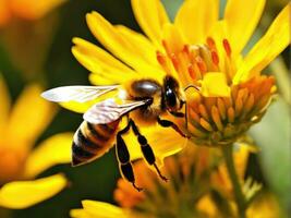 Flying honey bee collecting pollen at yellow flower AI Generated photo