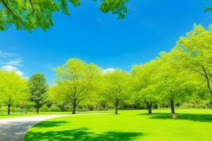 Beautiful landscape park with trees and sun. Colorful foliage in the park. AI Generative Pro Photo