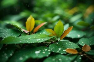 Close up macro photography of wet leaves in the rainy season. AI Generative Pro Photo