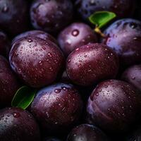 Plum background wallpaper photo