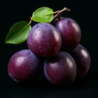 Plum background wallpaper photo