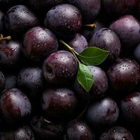 Plum background wallpaper photo