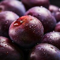 Plum background wallpaper photo