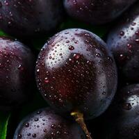 Plum background wallpaper photo