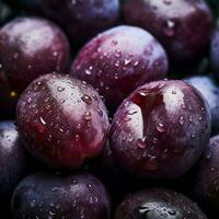 Plum background wallpaper photo