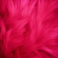 hot pink background photo