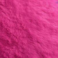 hot pink background photo