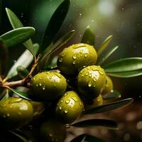 olive color splash photo
