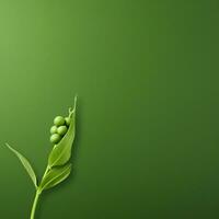 pea green Minimalist wallpaper photo