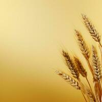 wheat color Minimalist wallpaper photo