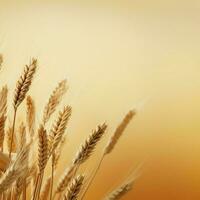 wheat color Minimalist wallpaper photo