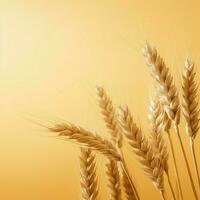 wheat color Minimalist wallpaper photo