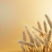 wheat color Minimalist wallpaper photo