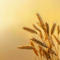 wheat color Minimalist wallpaper photo