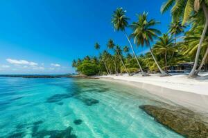 A beach with palm trees and crystal-clear water photo