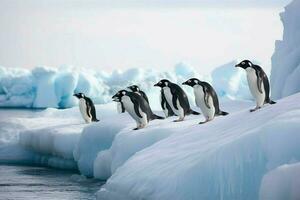 A group of penguins on an ice shelf photo