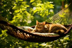 un perezoso tarde siesta en un hamaca foto